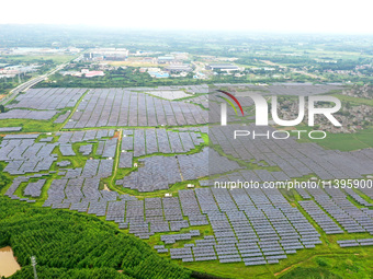 A photovoltaic power station is being shown in Ligang village, Chaohu city, East China's Anhui province, on July 9, 2024. (