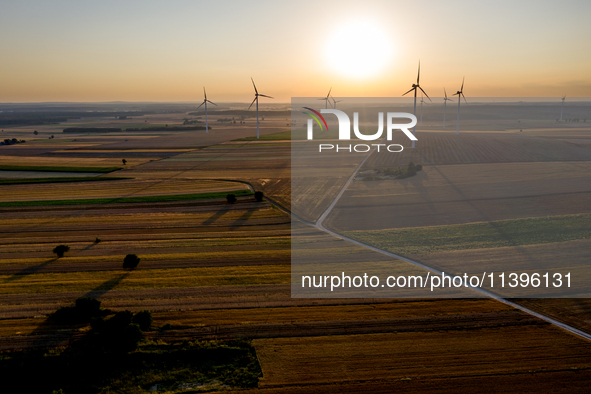 Wind turbines are seen on a wind farm on a field between agricultural produce against a sunset in a countryside in a village near Radom, Pol...