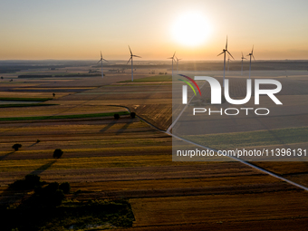 Wind turbines are seen on a wind farm on a field between agricultural produce against a sunset in a countryside in a village near Radom, Pol...