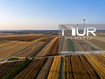 Wind turbines are seen on a wind farm on a field between agricultural produce against a sunset in a countryside in a village near Radom, Pol...