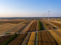 Wind turbines are seen on a wind farm on a field between agricultural produce against a sunset in a countryside in a village near Radom, Pol...