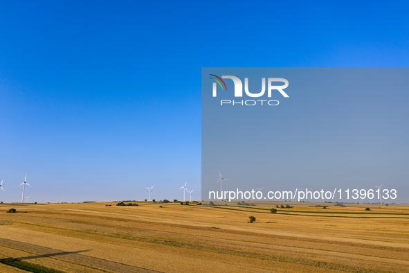 Wind turbines are seen on a wind farm on a field between agricultural produce against a sunset in a countryside in a village near Radom, Pol...