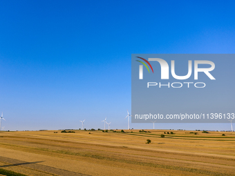 Wind turbines are seen on a wind farm on a field between agricultural produce against a sunset in a countryside in a village near Radom, Pol...