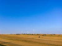 Wind turbines are seen on a wind farm on a field between agricultural produce against a sunset in a countryside in a village near Radom, Pol...