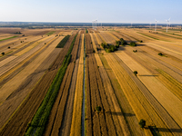 Wind turbines are seen on a wind farm on a field between agricultural produce against a sunset in a countryside in a village near Radom, Pol...