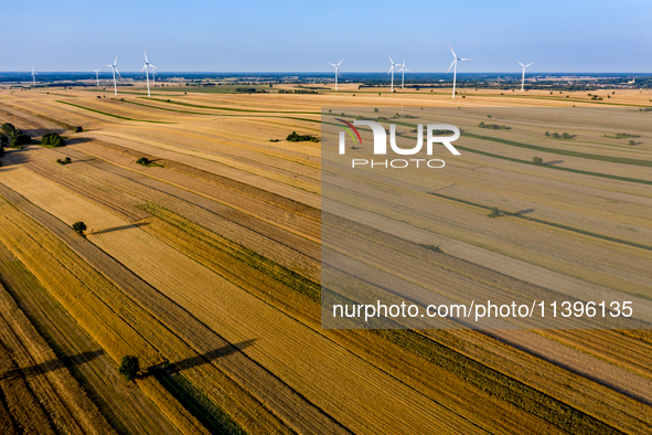 Wind turbines are seen on a wind farm on a field between agricultural produce against a sunset in a countryside in a village near Radom, Pol...