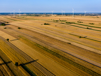 Wind turbines are seen on a wind farm on a field between agricultural produce against a sunset in a countryside in a village near Radom, Pol...