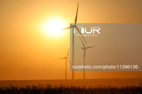 Wind turbines are seen on a wind farm on a field between agricultural produce against a sunset in a countryside in a village near Radom, Pol...