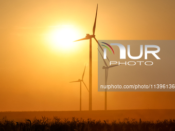 Wind turbines are seen on a wind farm on a field between agricultural produce against a sunset in a countryside in a village near Radom, Pol...