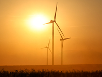 Wind turbines are seen on a wind farm on a field between agricultural produce against a sunset in a countryside in a village near Radom, Pol...