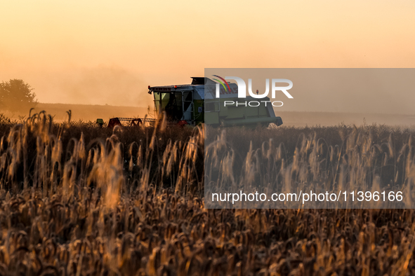 A combain is seen on a field between agricultural produce against a sunset in a countryside in a village near Radom, Poland on July 9, 2024...