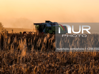 A combain is seen on a field between agricultural produce against a sunset in a countryside in a village near Radom, Poland on July 9, 2024...