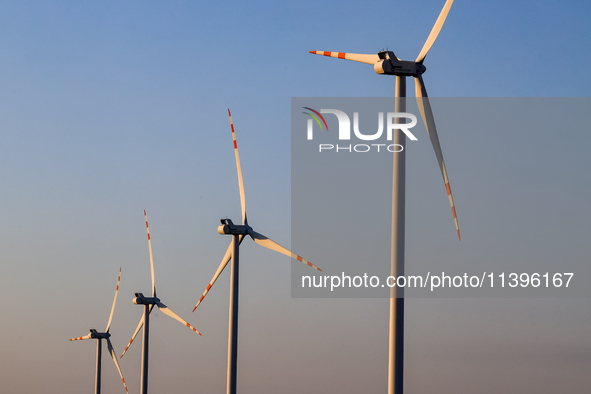 Wind turbines are seen on a wind farm on a field between agricultural produce against a sunset in a countryside in a village near Radom, Pol...