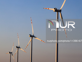 Wind turbines are seen on a wind farm on a field between agricultural produce against a sunset in a countryside in a village near Radom, Pol...