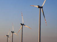 Wind turbines are seen on a wind farm on a field between agricultural produce against a sunset in a countryside in a village near Radom, Pol...