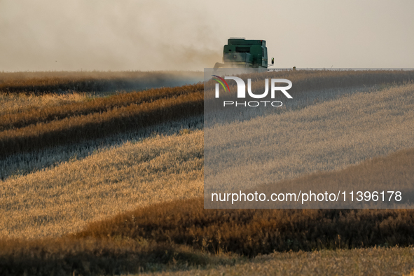 A combain is seen on a field between agricultural produce against a sunset in a countryside in a village near Radom, Poland on July 9, 2024...