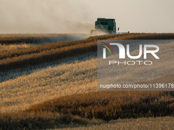 A combain is seen on a field between agricultural produce against a sunset in a countryside in a village near Radom, Poland on July 9, 2024...