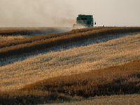 A combain is seen on a field between agricultural produce against a sunset in a countryside in a village near Radom, Poland on July 9, 2024...