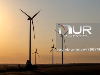 Wind turbines are seen on a wind farm on a field between agricultural produce against a sunset in a countryside in a village near Radom, Pol...