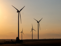 Wind turbines are seen on a wind farm on a field between agricultural produce against a sunset in a countryside in a village near Radom, Pol...