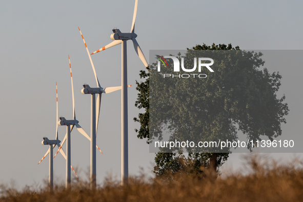 Wind turbines are seen on a wind farm on a field between agricultural produce in a countryside in a village near Radom, Poland on July 9, 20...