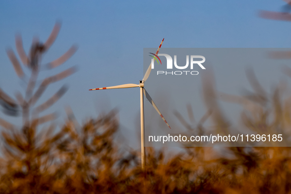 Wind turbine is seen on a wind farm on a field between agricultural produce in a countryside in a village near Radom, Poland on July 9, 2024...