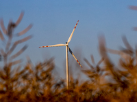 Wind turbine is seen on a wind farm on a field between agricultural produce in a countryside in a village near Radom, Poland on July 9, 2024...