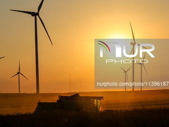 A combain is seen against wind turbines on a wind farm on a field between agricultural produce as sun is setting in a countryside in a villa...