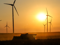 A combain is seen against wind turbines on a wind farm on a field between agricultural produce as sun is setting in a countryside in a villa...