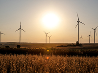 Wind turbines are seen on a wind farm on a field between agricultural produce against a sunset in a countryside in a village near Radom, Pol...