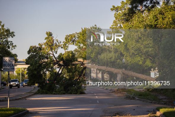 A fallen tree is partially blocking Kirby Drive near the intersection of Kirby and Shepherd in Houston, Texas, on July 9, 2024. 