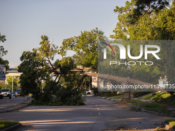 A fallen tree is partially blocking Kirby Drive near the intersection of Kirby and Shepherd in Houston, Texas, on July 9, 2024. (