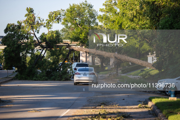 A line of cars is cautiously driving under a fallen tree on Kirby Drive near the intersection of Kirby and Shepherd in Houston, Texas, on Ju...