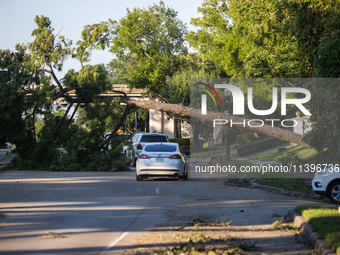 A line of cars is cautiously driving under a fallen tree on Kirby Drive near the intersection of Kirby and Shepherd in Houston, Texas, on Ju...