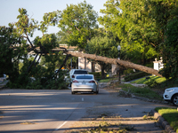 A line of cars is cautiously driving under a fallen tree on Kirby Drive near the intersection of Kirby and Shepherd in Houston, Texas, on Ju...