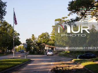 A line of cars is cautiously driving under a fallen tree on Kirby Drive near the intersection of Kirby and Shepherd in Houston, Texas, on Ju...