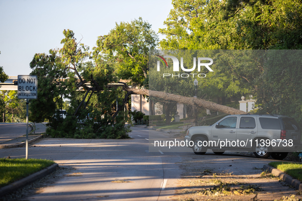 A fallen tree is partially blocking Kirby Drive near the intersection of Kirby and Shepherd in Houston, Texas, on July 9, 2024. 