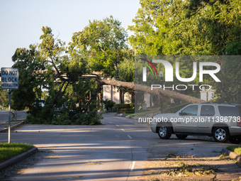 A fallen tree is partially blocking Kirby Drive near the intersection of Kirby and Shepherd in Houston, Texas, on July 9, 2024. (