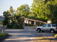 A fallen tree is partially blocking Kirby Drive near the intersection of Kirby and Shepherd in Houston, Texas, on July 9, 2024. (