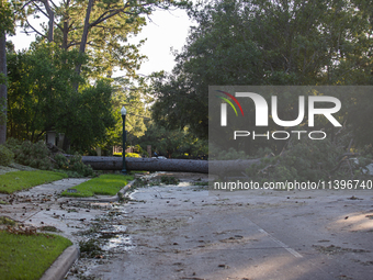 A fall tree is blocking Kirby Drive in Houston, Texas, on July 9, 2024. (