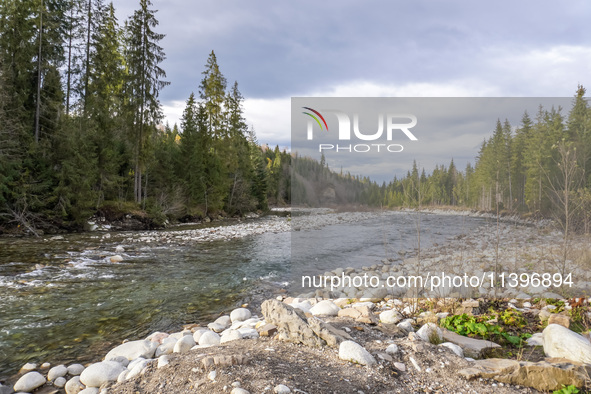 A general view of the Bialka River in the Tatra Mountains is being seen in Jurgow, Poland, on November 10, 2023 