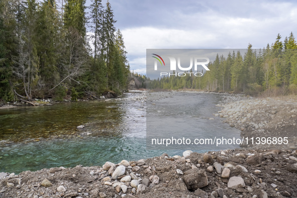 A general view of the Bialka River in the Tatra Mountains is being seen in Jurgow, Poland, on November 10, 2023 