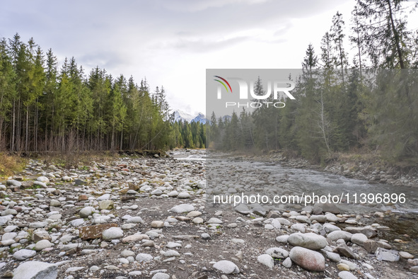 A general view of the Bialka River in the Tatra Mountains is being seen in Jurgow, Poland, on November 10, 2023 