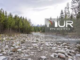 A general view of the Bialka River in the Tatra Mountains is being seen in Jurgow, Poland, on November 10, 2023 (