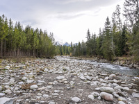 A general view of the Bialka River in the Tatra Mountains is being seen in Jurgow, Poland, on November 10, 2023 (