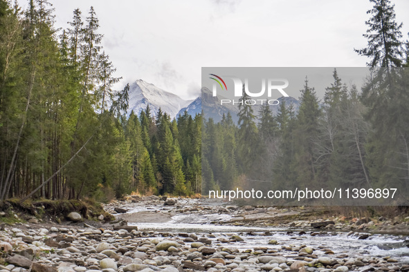 A general view of the Bialka River in the Tatra Mountains is being seen in Jurgow, Poland, on November 10, 2023 