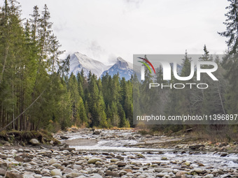 A general view of the Bialka River in the Tatra Mountains is being seen in Jurgow, Poland, on November 10, 2023 (