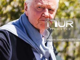 Jon Voight is arriving at the photocall of Megalopolis during the 77th Festival de Cannes in Cannes, France, on May 17, 2024 (