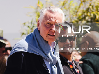 Jon Voight is arriving at the photocall of Megalopolis during the 77th Festival de Cannes in Cannes, France, on May 17, 2024 (