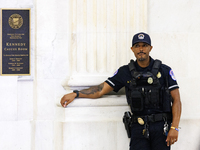 A U.S. Capitol Police officer stands guard outside of a meeting between a bipartisan group of U.S. Senators and leaders from NATO on Capitol...